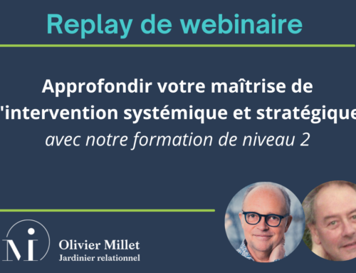 Replay webinaire Approfondir votre maîtrise de l’intervention systémique